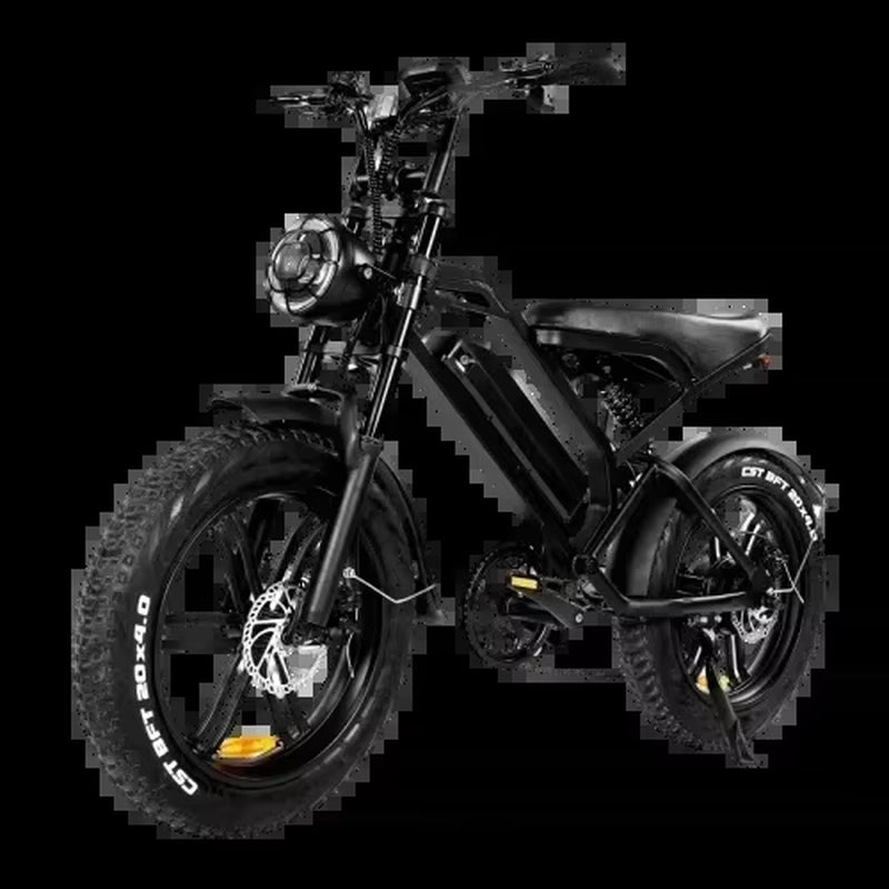 Ebike V20 1000W 48V 20AH Back Seat Fat Tire Electric Bike Beach Cruiser Off-Road Electric Bike Adult Mountain Electric Bike