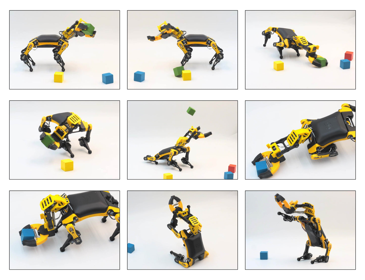 Petoi Robot Dog Bittle X with Optional Robotic Arm Gripper