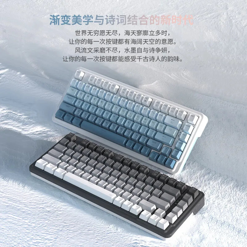 Redragon New Style Mechanical Gaming Keyboard RGB LED