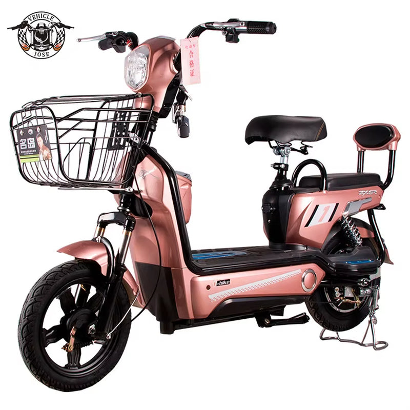 Electric Bike 350W