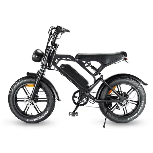 Ebike V20 1000W 48V 20AH Back Seat Fat Tire Electric Bike Beach Cruiser Off-Road Electric Bike Adult Mountain Electric Bike