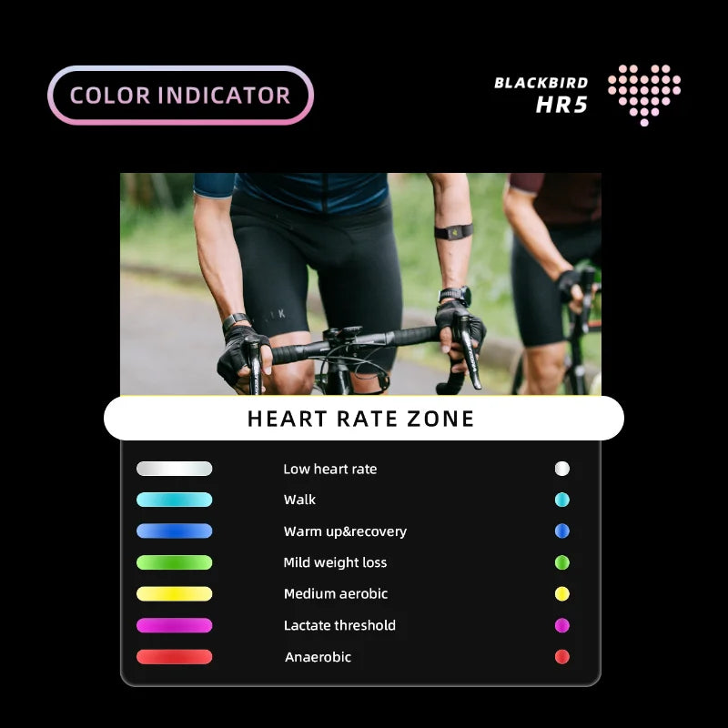 BLACK BIRD  Arm Heart Rate Sensor Waterproof HR Monitor For Bike Computer